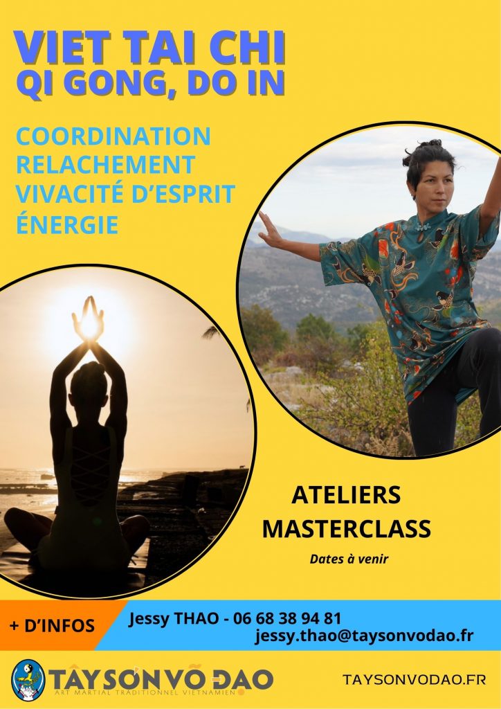 atelier masterclass viet tai chi, qi gong, do in, méditation