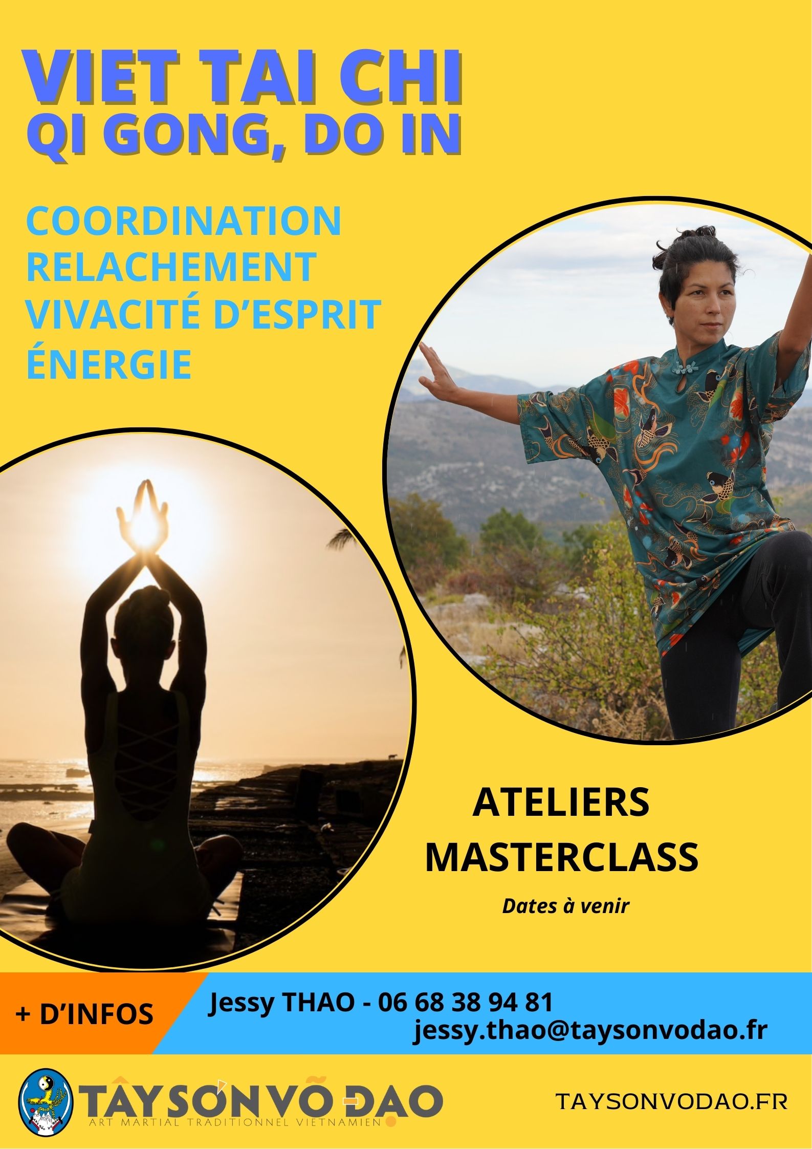 atelier masterclass viet tai chi, qi gong, do in, méditation